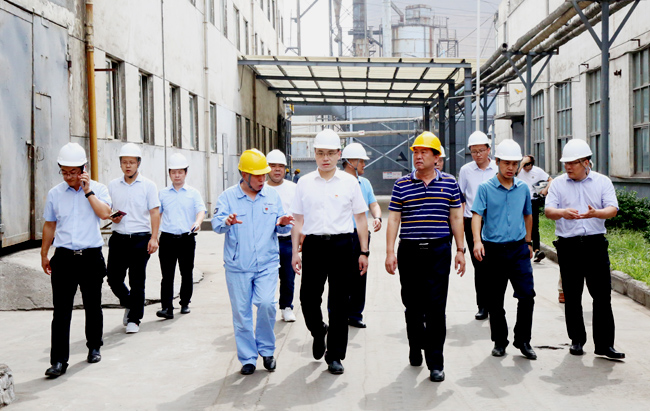 新安縣委副書記、縣長(zhǎng)王智一行到萬(wàn)基控股集團(tuán)調(diào)研