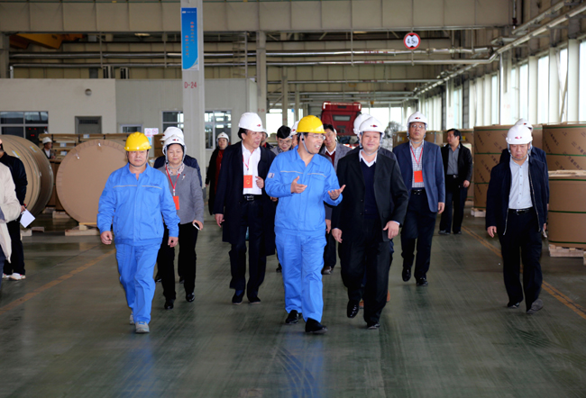 駐洛陽(yáng)市省、市人大代表到萬(wàn)基控股集團(tuán)參觀